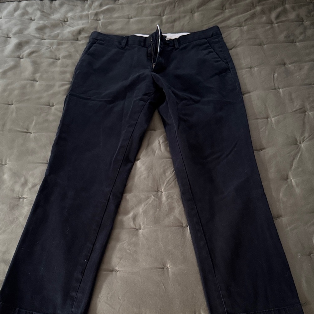 Banana Republic Dark Blue Chinos